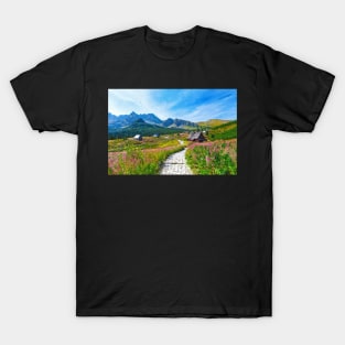 Blue sky over path through Gasienicowa Valley in Tatry mountains, Poland T-Shirt